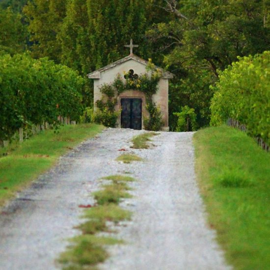 fotocapitellopoggio fotocapitellopoggio